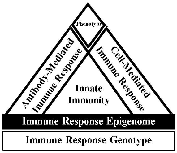 Bovine Mastitis: Frontiers in Immunogenetics - Image 2