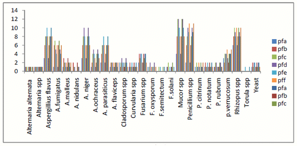 Survey of Mycotoxigenic Fungi in Concentrated Poultry Feed in Niger State, Nigeria - Image 4