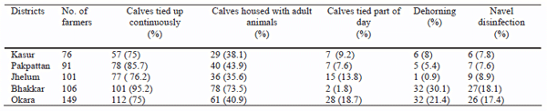 Improved Calf Rearing Practices Under Smallholder Farming Systems in Pakistan - Image 1