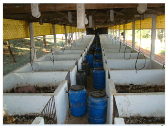 Agracid S vs Competitor’s Product Technical Evaluation - Image 1
