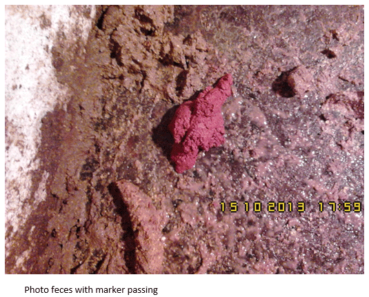 Agracid S vs Competitor’s Product Technical Evaluation - Image 7
