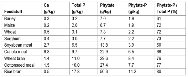 Optimizing Calcium, Phosphorus and Phytase Formulation in layer Diets - Image 1