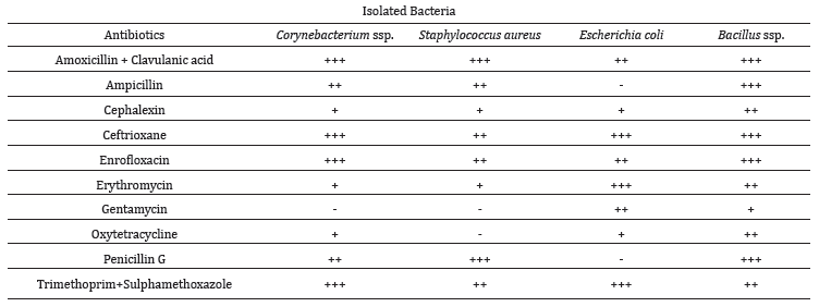 The effect of N-acetylcysteine on the treatment of clinical endometritis and pregnancy rate in dairy cows - Image 1