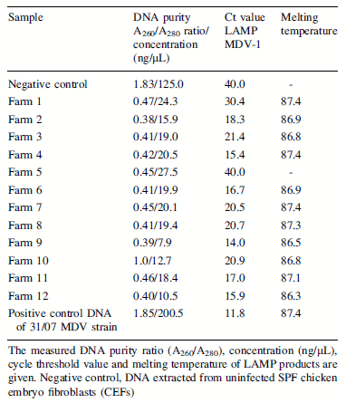 Direct detection of Marek’s disease virus in poultry dust by loop-mediated isothermal amplification - Image 2