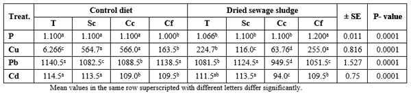Possible Effects of Feeding Fish the Dried-Treated Sewage on Bioaccumulation of Metals, Morphological Lesions and Mortality Rate - Image 6