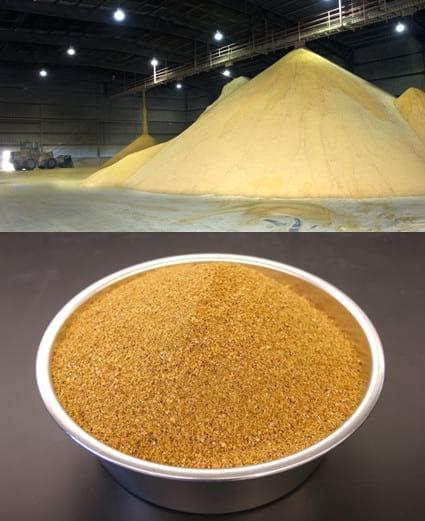 Fuel Ethanol Coproducts for Livestock Diets - Image 16