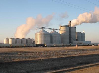 Fuel Ethanol Coproducts for Livestock Diets - Image 11