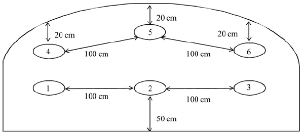 Effects of Chemical Additives on Fermentation, Fungal Counts and Aerobic Stability of Pressed Sugar Beet Pulp stored in Plastic Bags - Image 2