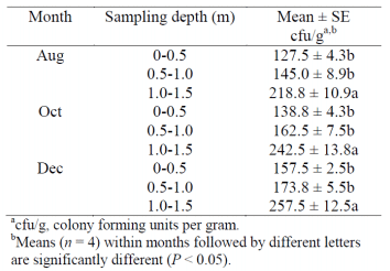 Increasing Global Food Security and Reducing Post-Harvest Loss with Hermetic Storage of Grains - Image 11