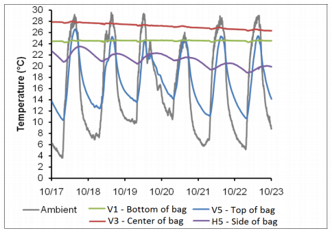 Increasing Global Food Security and Reducing Post-Harvest Loss with Hermetic Storage of Grains - Image 2
