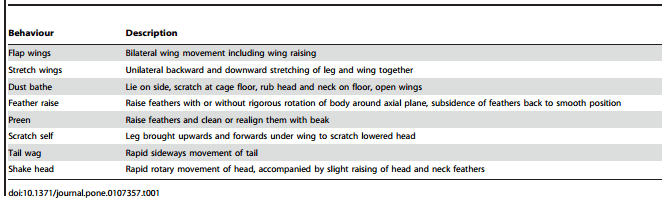 Does Rearing Laying Hens in Aviaries Adversely Affect Long-Term Welfare following Transfer to Furnished Cages? - Image 1