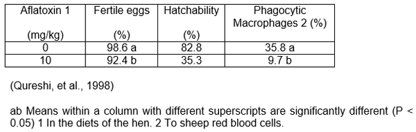 Effect of Mycotoxins on Poultry Industry and Practical Solutions - Image 3