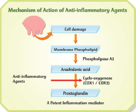 Principles of Conventional & Alternative Therapy in Mastitis: A Comprehensive Review - Image 1