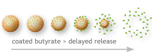 Looking for ways to get relief from PED - Image 5