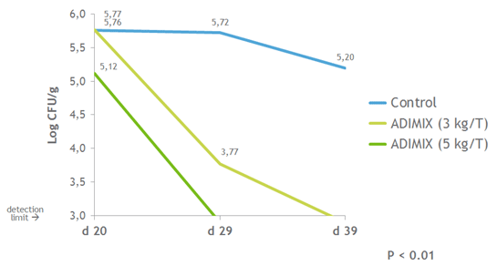 Campylobacter control in poultry - Image 2