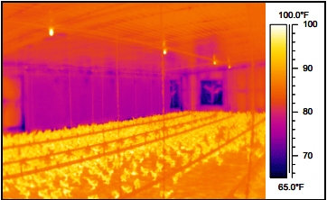 Why Tunnel Fans with Butterfly Shutters may not be a Good Investment? - Image 14