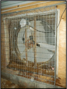 Why Tunnel Fans with Butterfly Shutters may not be a Good Investment? - Image 10