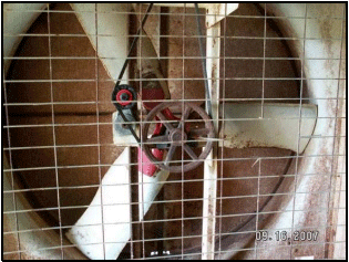 Why Tunnel Fans with Butterfly Shutters may not be a Good Investment? - Image 11