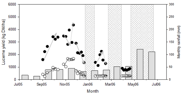 A review of recent research and extension on dryland lucerne in New Zealand - Image 3