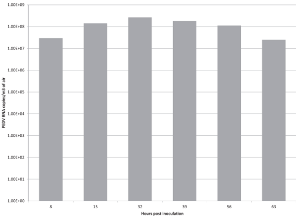 Evidence of infectivity of airborne porcine epidemic diarrhea virus and detection of airborne viral RNA at long distances from infected herds - Image 1