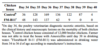 The Effect of a Lactobacillus-Based Probiotic for the Control of Necrotic Enteritis in Broilers - Image 4
