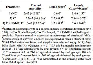 The Effect of a Lactobacillus-Based Probiotic for the Control of Necrotic Enteritis in Broilers - Image 3