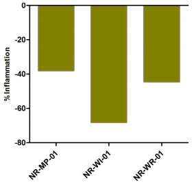 Evaluation of Wisprec Advanced Spray and Certain Phytopharmaceutical Prototypes for their Topical Anti-inflammatory Effect - Image 4