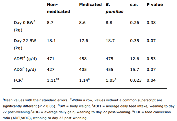 Maintaining Growth in pigs weaned from Large Litters - Image 10