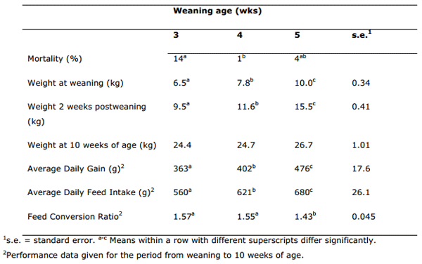 Maintaining Growth in pigs weaned from Large Litters - Image 1