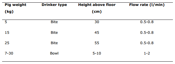 Maintaining Growth in pigs weaned from Large Litters - Image 5