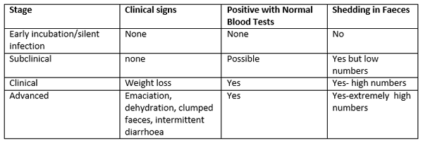 Do You Know the Johne’s Disease Status of Your Goat Herd? - Image 3