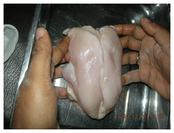 Green Muscle Disease or Deep Pectoral Myopathy (DPM) of Broilers - Image 1