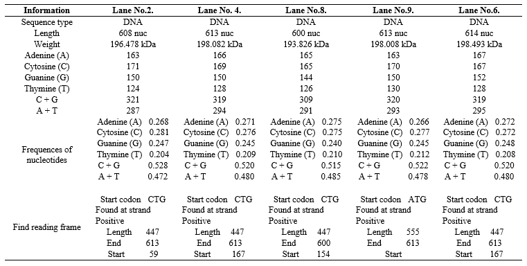 Prevalence of Very Virulent Infectious Bursal Disease Virus (IBDV) in Egyptian Delta - Image 6