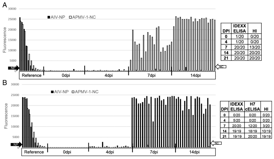 Development of a duplex Fluorescent Microsphere Immunoassay (FMIA) for the detection of antibody responses to influenza A and newcastle disease viruses - Image 10