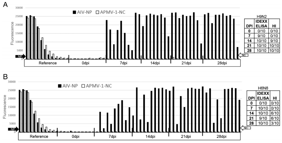 Development of a duplex Fluorescent Microsphere Immunoassay (FMIA) for the detection of antibody responses to influenza A and newcastle disease viruses - Image 12