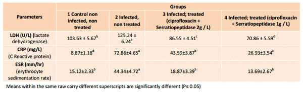 Impact of Serratiopeptidase Treatment on Performance and Health Parameters in Broiler Chickens - Image 4