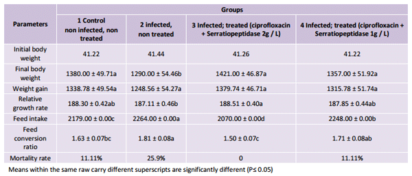Impact of Serratiopeptidase Treatment on Performance and Health Parameters in Broiler Chickens - Image 1