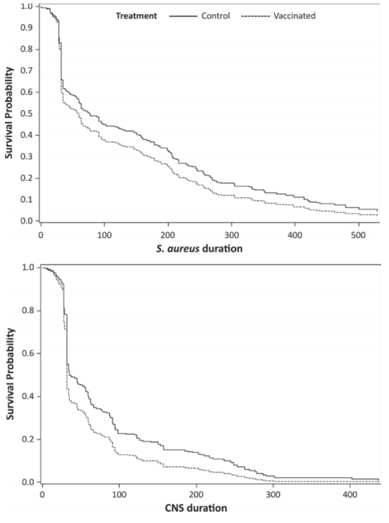 Efficacy of vaccination on Staphylococcus aureus and coagulase-negative staphylococci intramammary infection dynamics in 2 dairy herds - Image 10
