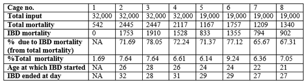Experience in monitoring IBD antibody titers of broiler birds of two close house farms involving three IBD vaccinations per cycle - Image 5
