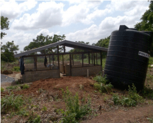 Economic and Market Analysis of Swine Rearing and Pork Production in Ghana - Image 3