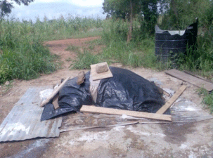 Economic and Market Analysis of Swine Rearing and Pork Production in Ghana - Image 5
