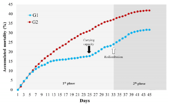 Supplemental diets in juvenile production of Nile tilapia - Image 6