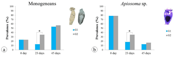 Supplemental diets in juvenile production of Nile tilapia - Image 2