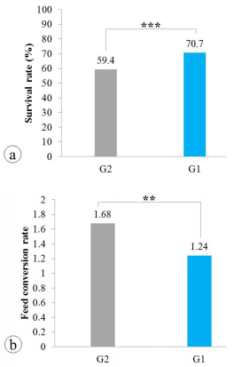 Supplemental diets in juvenile production of Nile tilapia - Image 5