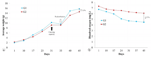Supplemental diets in juvenile production of Nile tilapia - Image 7