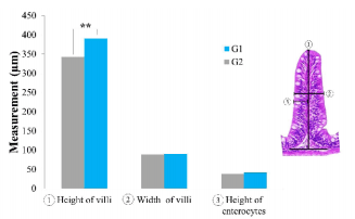 Supplemental diets in juvenile production of Nile tilapia - Image 3