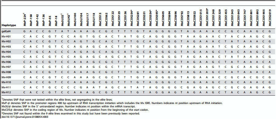 Genetic Variation within the Mx Gene of Commercially Selected Chicken Lines Reveals Multiple Haplotypes, Recombination and a Protein under Selection Pressure - Image 5