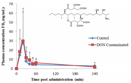 Chronic Exposure to Deoxynivalenol Has No Influence on the Oral Bioavailability of Fumonisin B1 in Broiler Chickens - Image 1