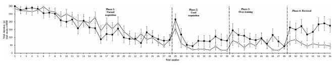 Early life in a barren environment adversely affects spatial cognition in laying hens (Gallus gallus domesticus) - Image 4