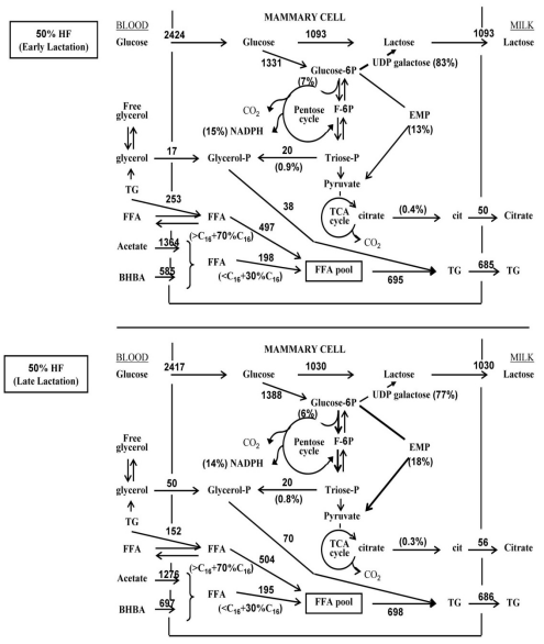 Control of Mammary Function During Lactation in Crossbred Dairy Cattle in the Tropics - Image 6